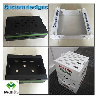 Kotak Sayur Plastik Beralun