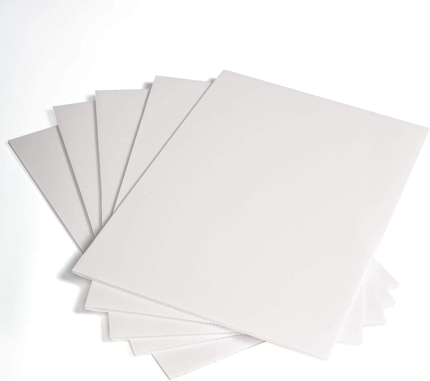 White Corflute Board - 1