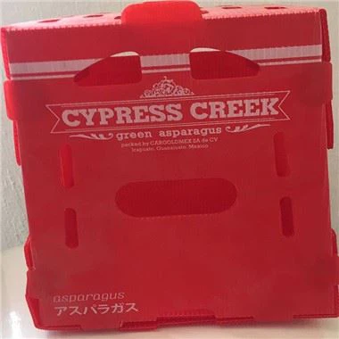 Kotak Buah Plastik Beralun