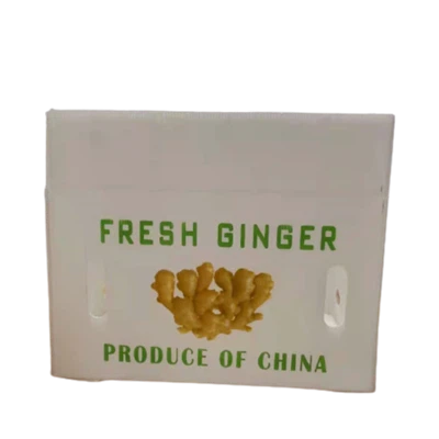 Kotak Halia Plastik Beralun PP