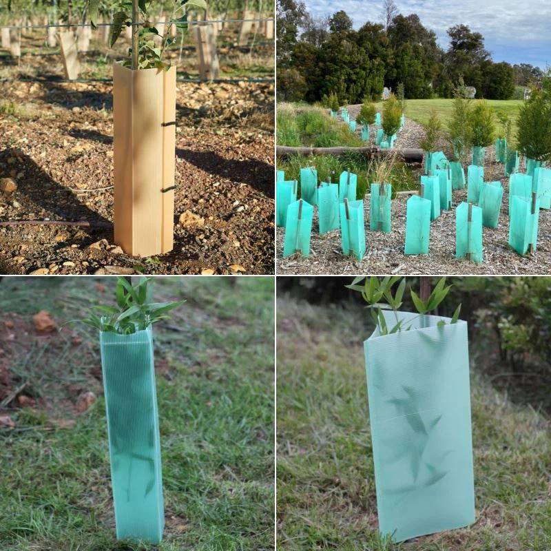 Pengawal Pokok Plastik PP Mesra-Eko