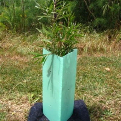 PP Pokok Pengawal