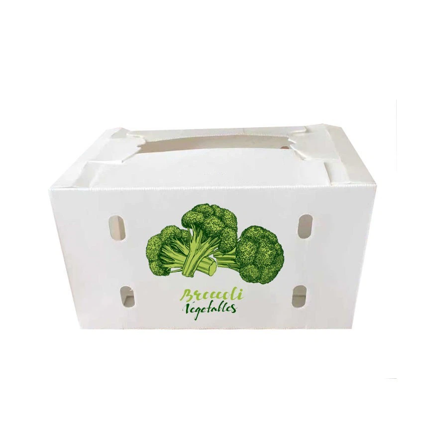 Vegetable Packaging Box